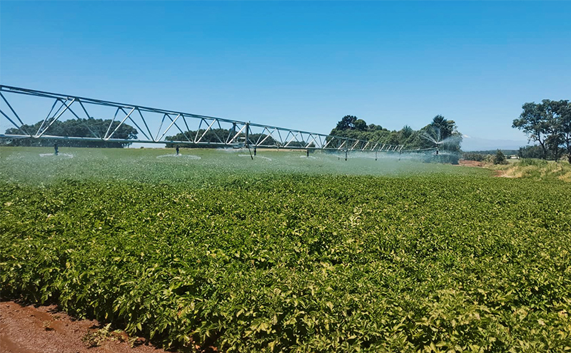 Cadman Boom Irrigation