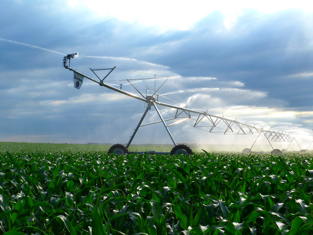 cadman-reinke-pivot-irrigation